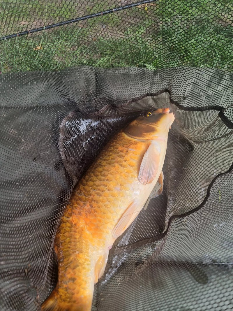 Hayfield Lakes