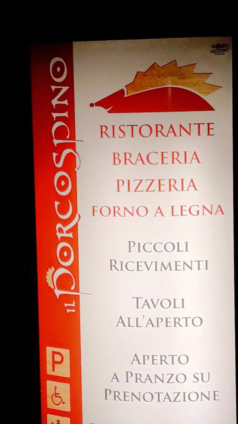 Il porcospino