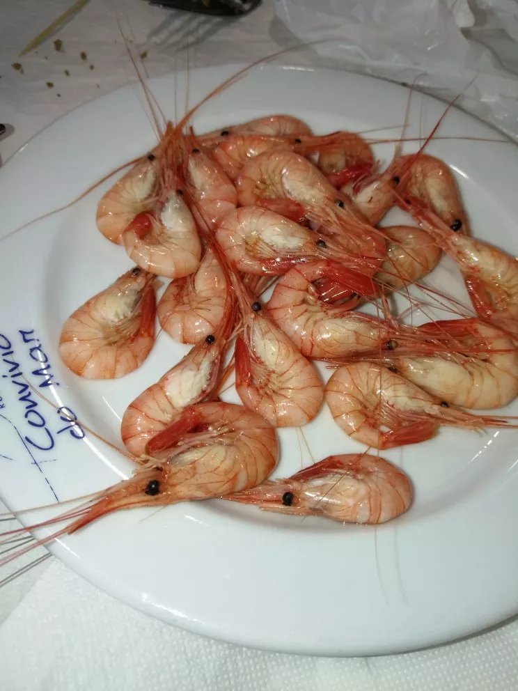 Convivio do Mar