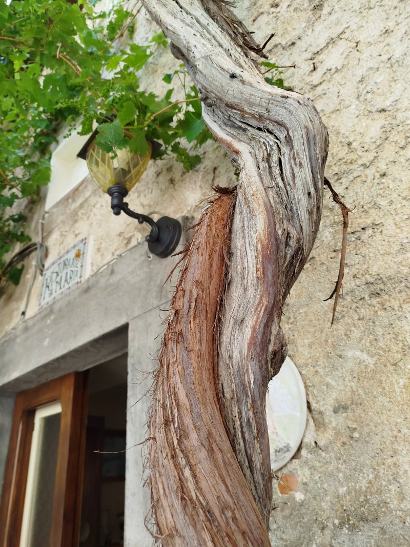 Ristorante Pizzeria Da Maria