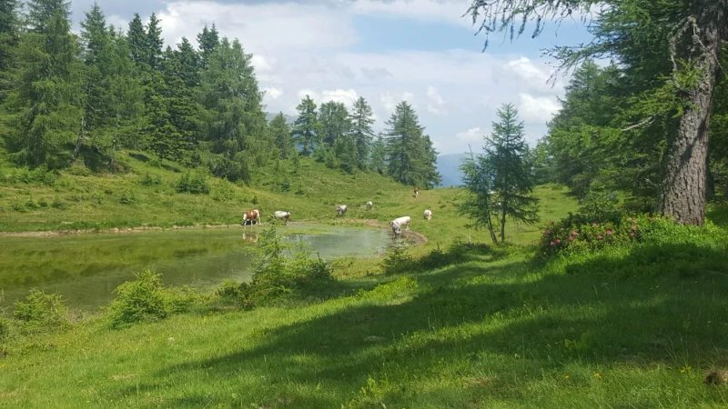 Chalet Serena