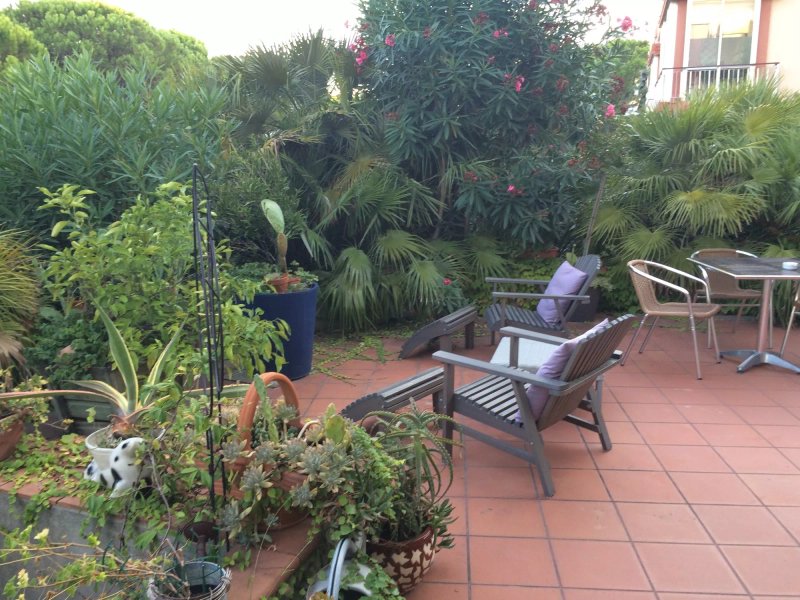 Le Palme Hotel
