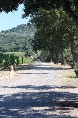 Agriturismo Il Poggione