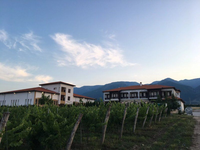 Tragata