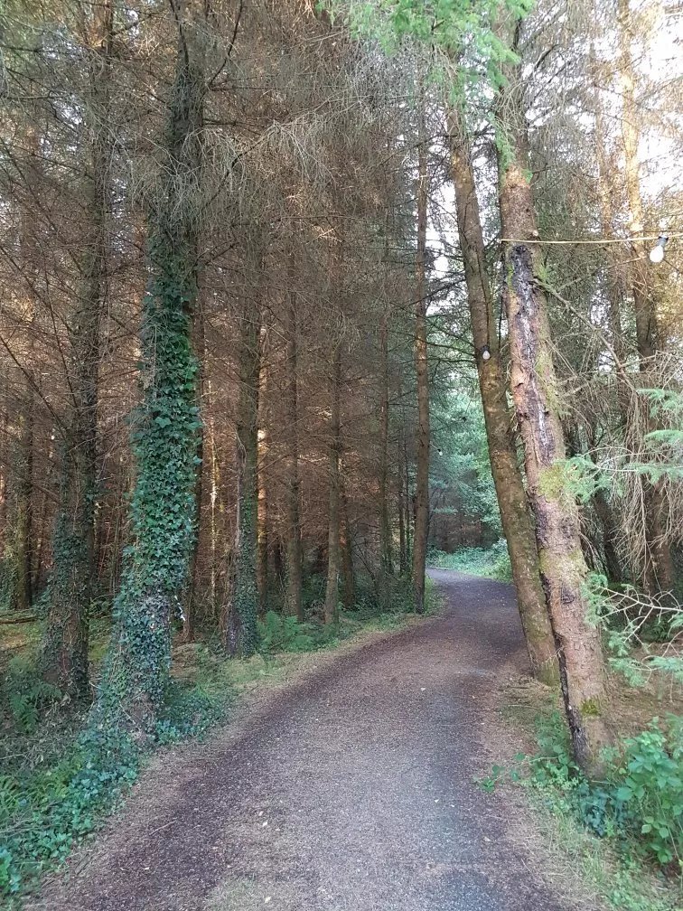Drumcoura City