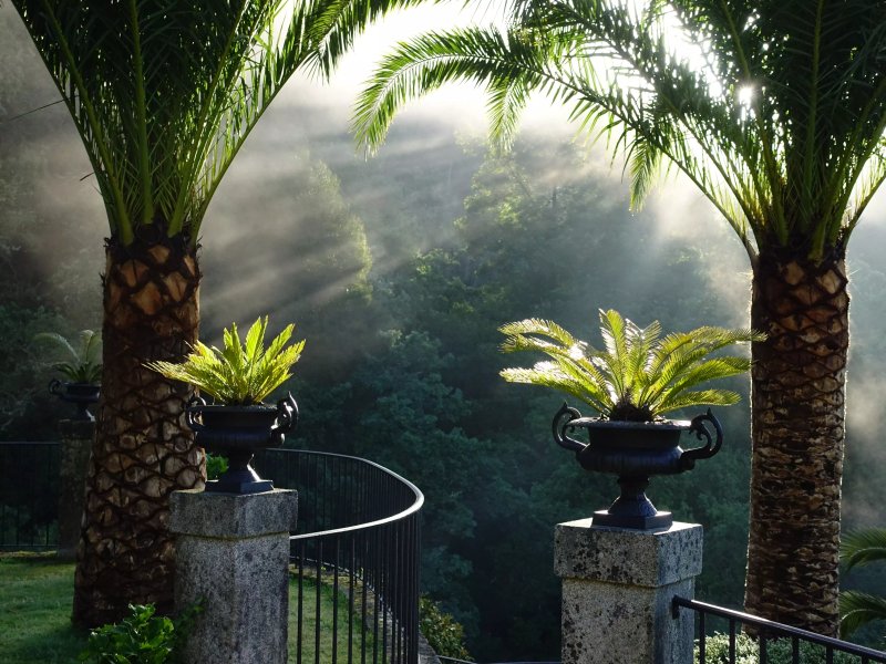 Torre Do Rio Rural Hotel