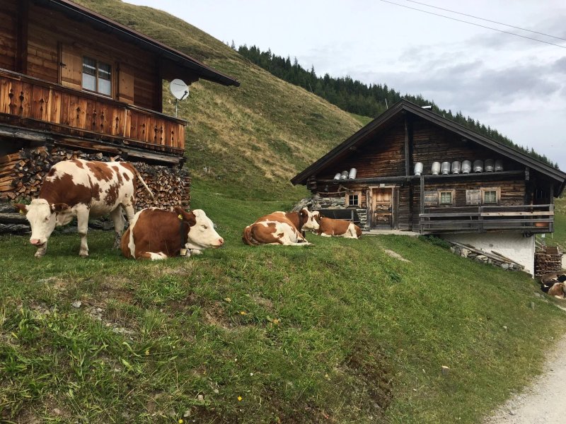 Geolsalm Jausenstation Fugen