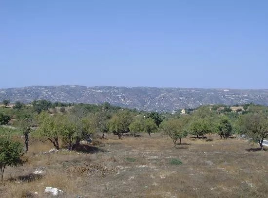 Lasa Heights Hotel