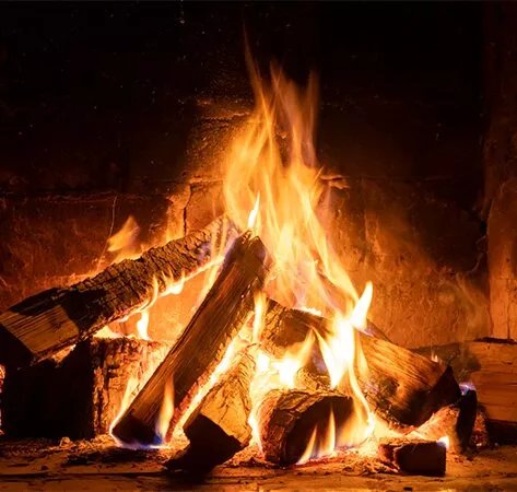 solofuego
