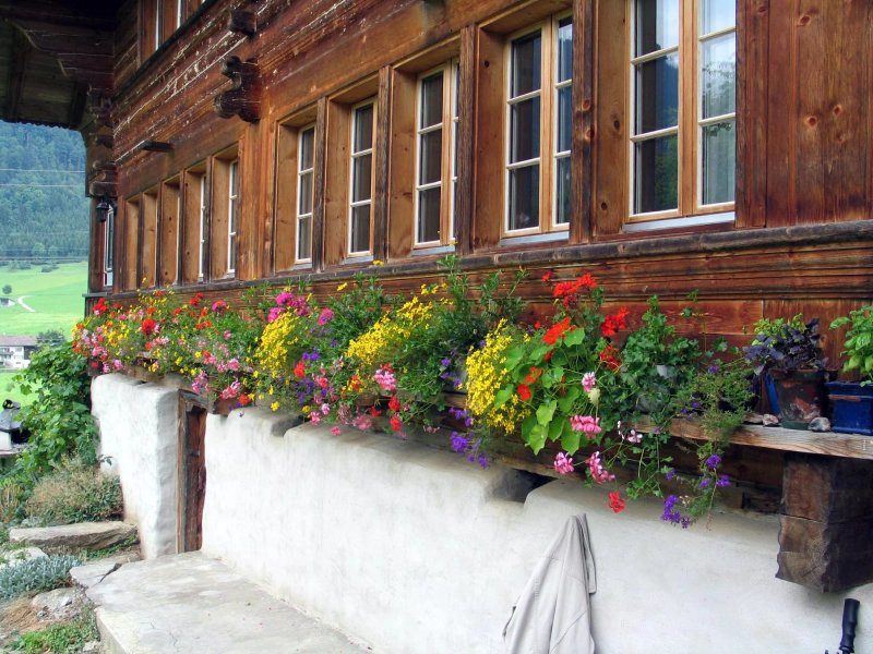Gasthaus zur Kraftquelle