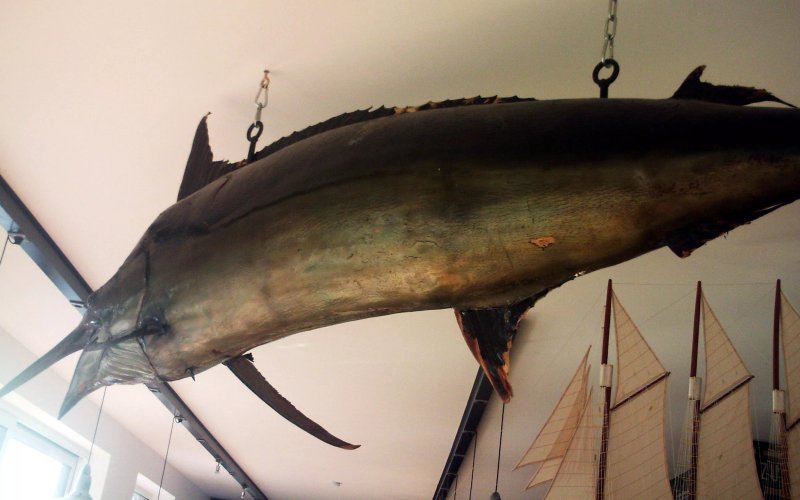 Zum Fisch gerauchert und frisch
