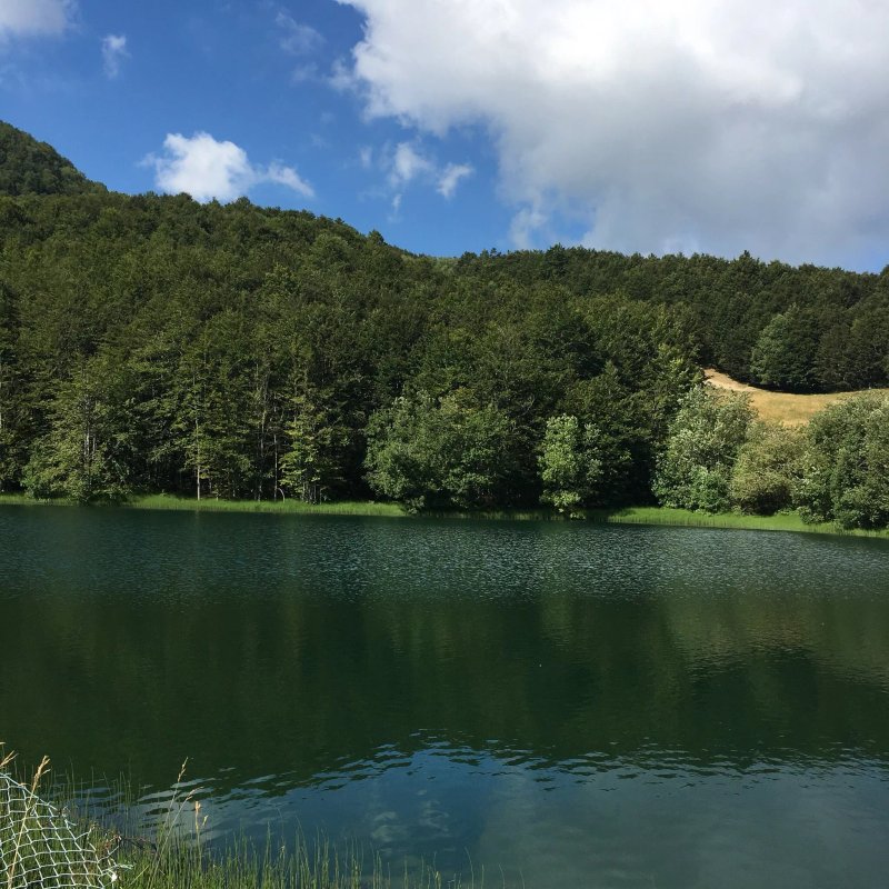 La Tana del Lupo