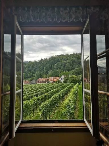 Hotel Garni Weinberghof & Weingut Lagler