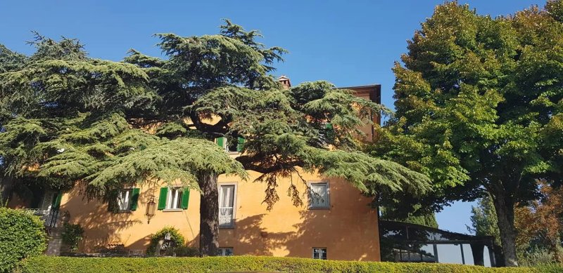 I Capricci di Merion Ristorante