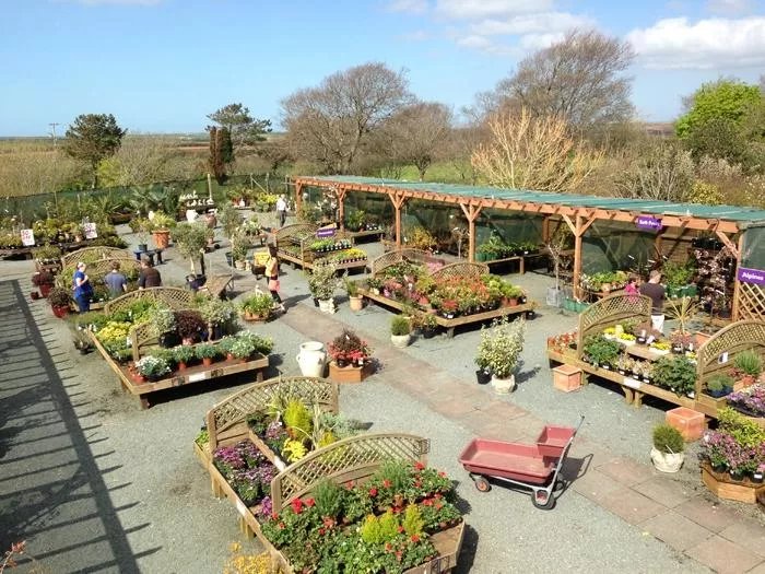 St Ishmaels Garden Centre