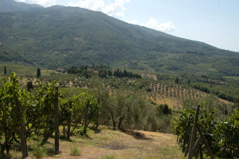 Agriturismo Poggio di Montepescoli