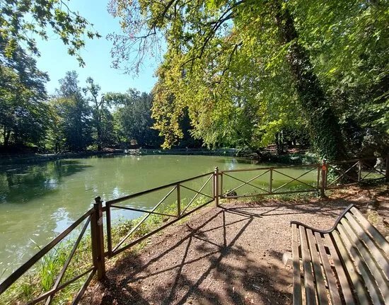 Laghetto Dei Cigni Nel Parco Di Monza