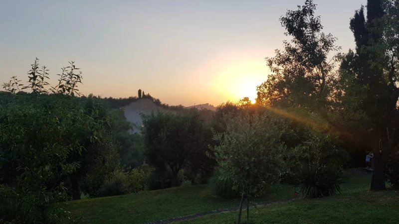 B&B Il Giardino Degli Ulivi Pianoro
