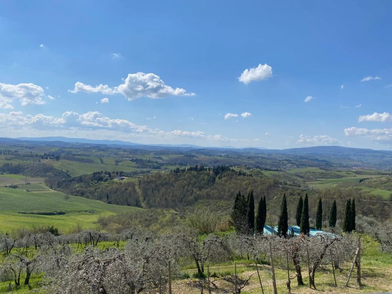 Agriturismo La Collina Degli Olivi