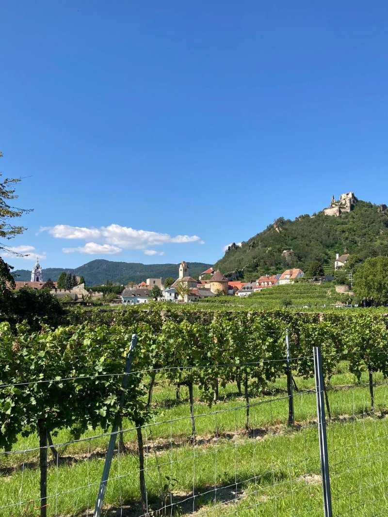 Alter Klosterkeller