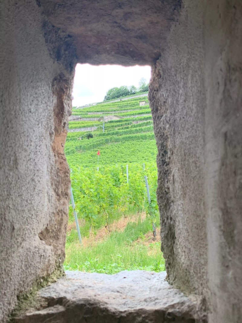 Domaine du Burignon