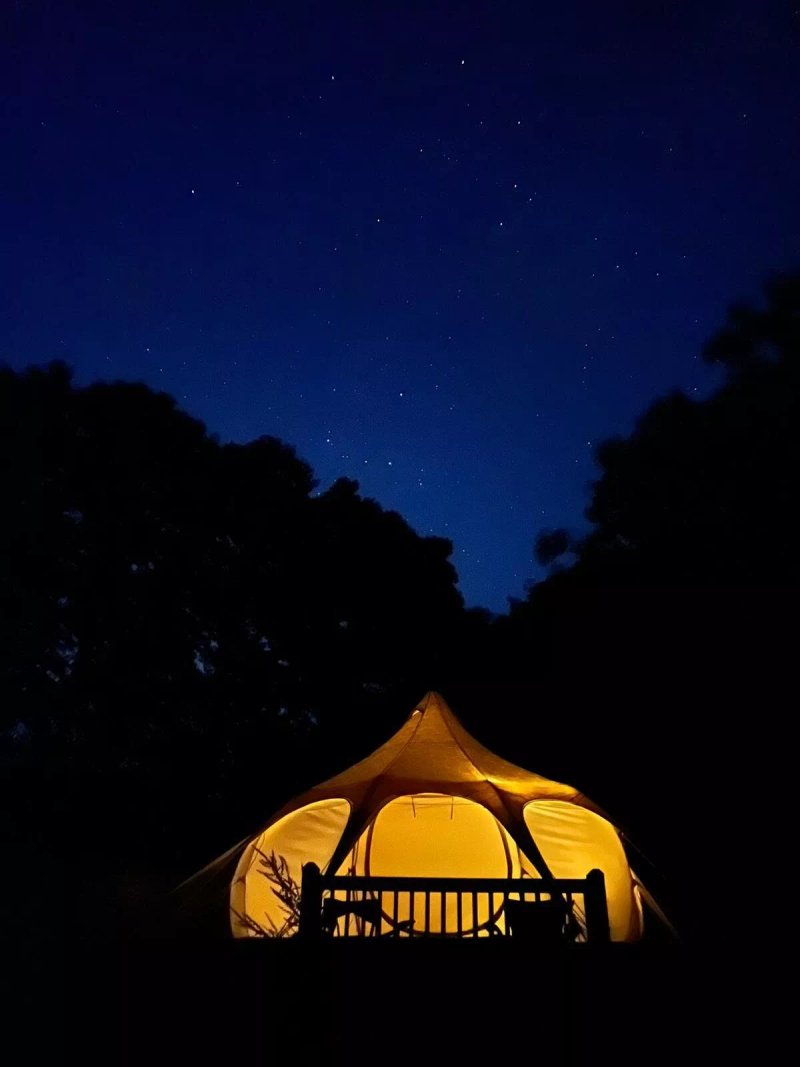 Star Field Glamping & Camping