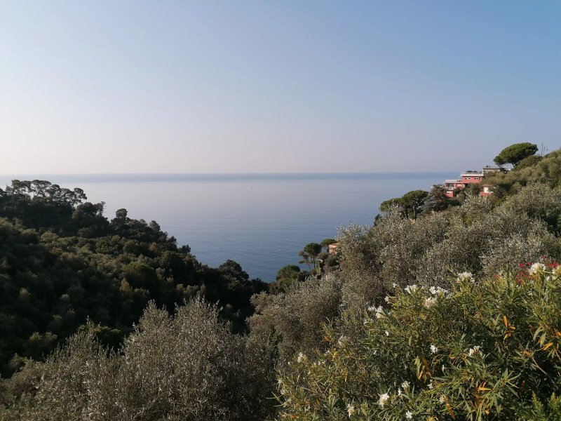Terre Di Mare in Liguria