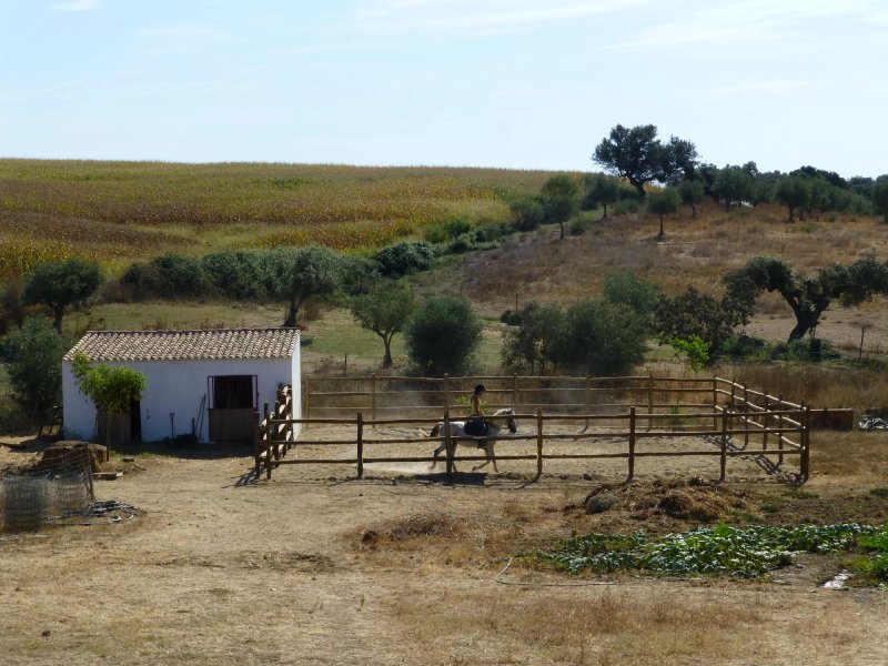 Monte dos Vicentes