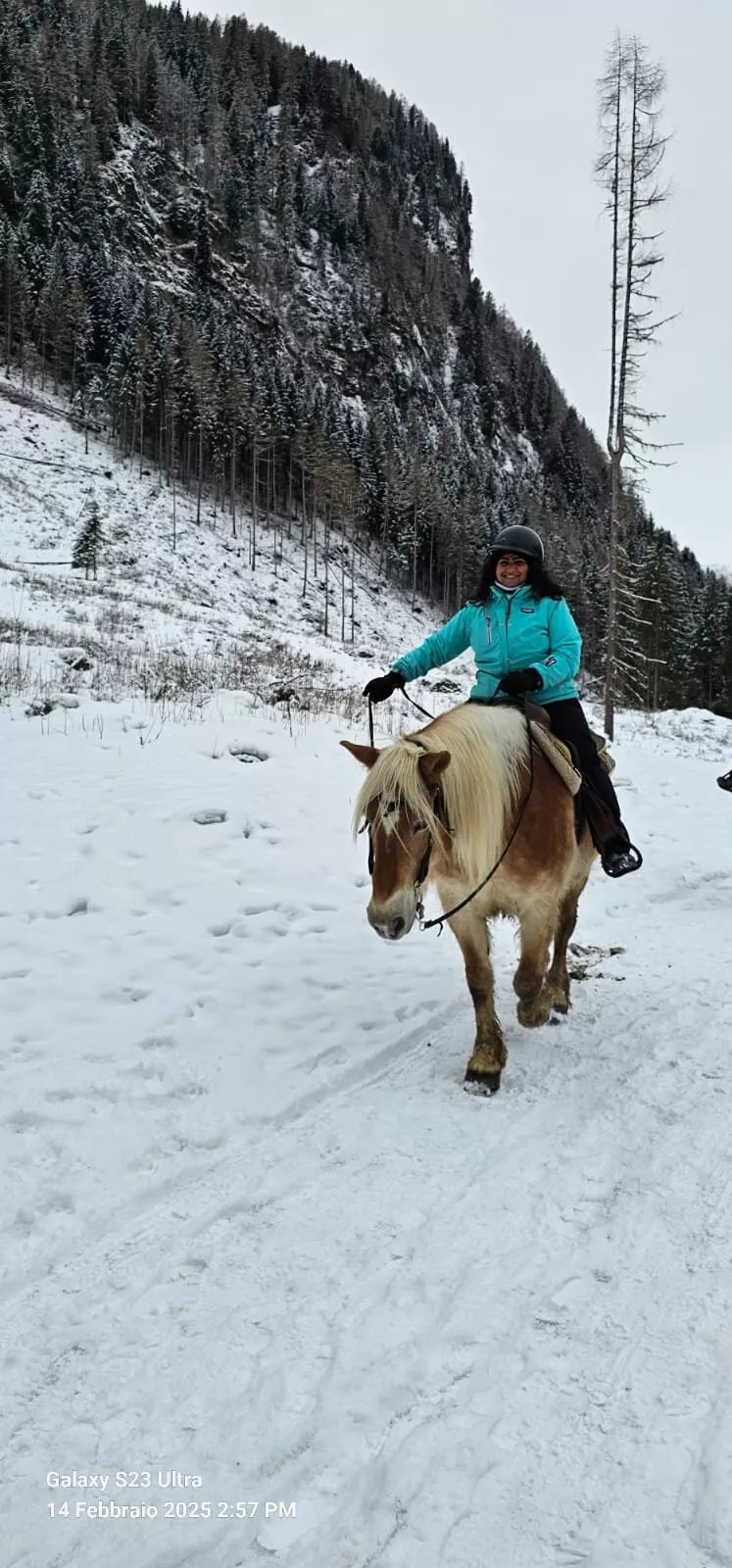 Charlotte Horse Riding