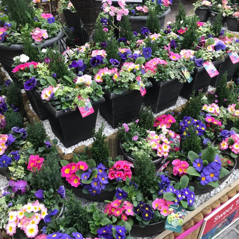 Haskins Garden Centre Roundstone