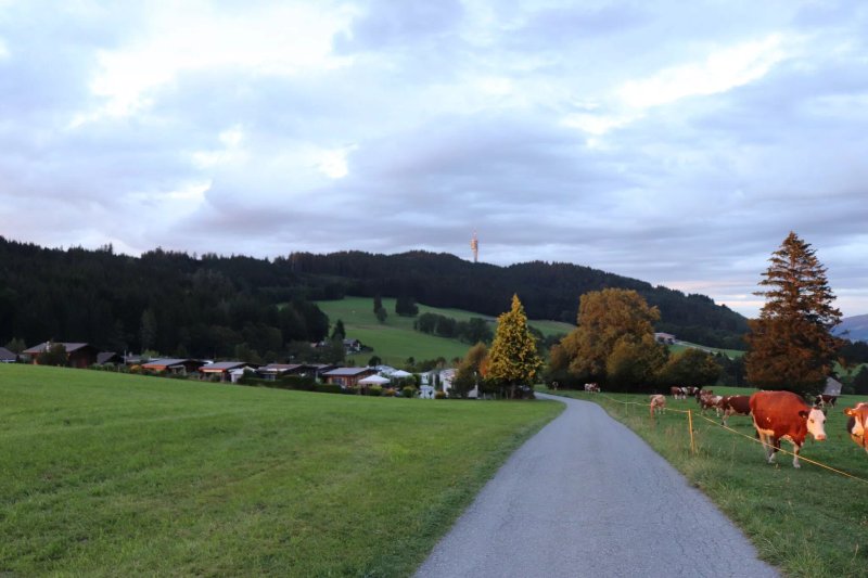 Camping La Foret