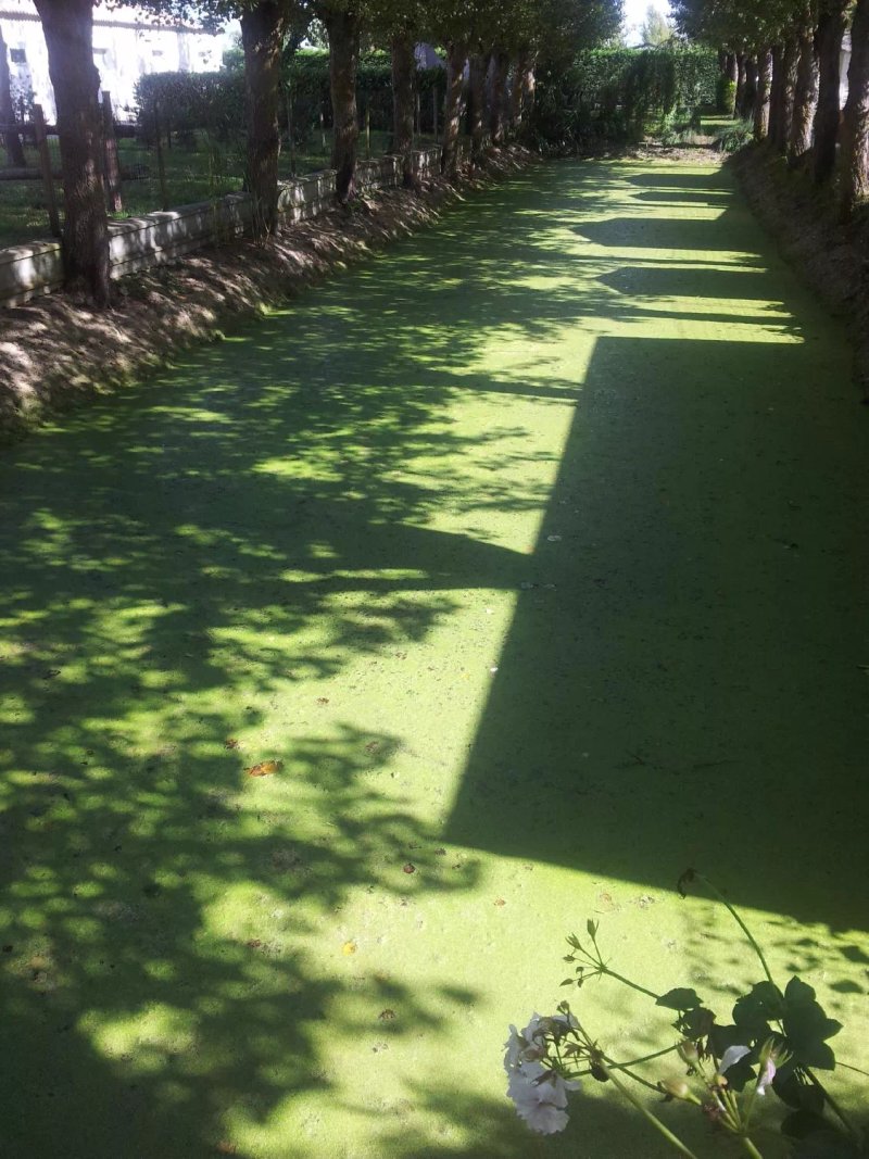 Domaine Le Jardin du marais