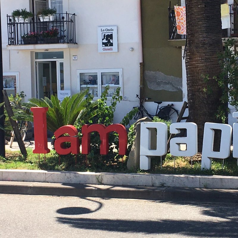 Papilla