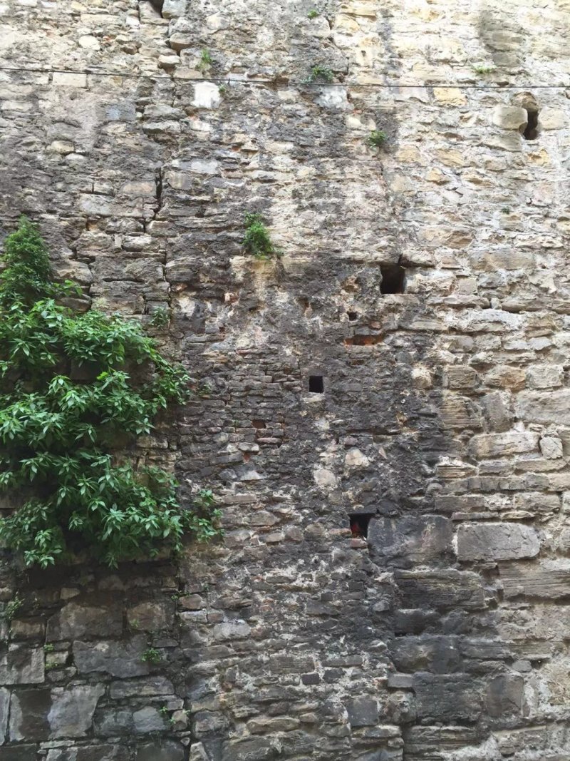 Casa Vacanze La Torretta