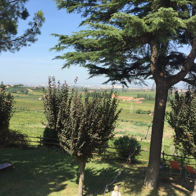 Merumalia Wine Resort