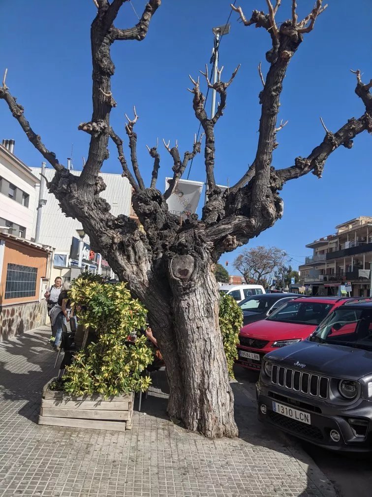 Rober's Castelldefels