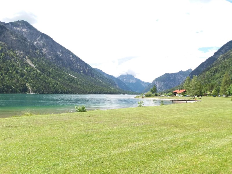 Musteralpe am Plansee