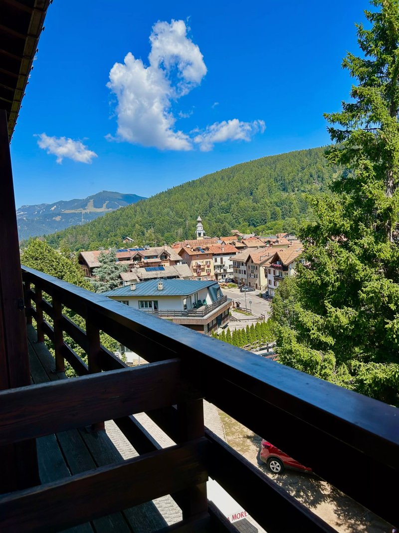 Hotel Des Alpes