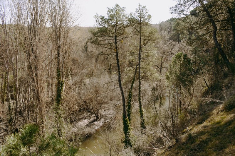 Sendero del Rio Eresma PRC-VA42