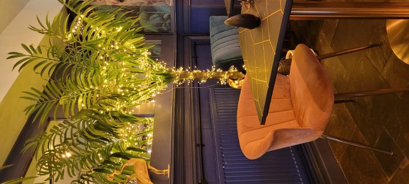Oasis Lounge By Melaya