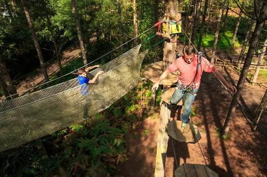 Go Ape Wendover
