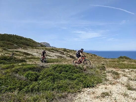 Camibike