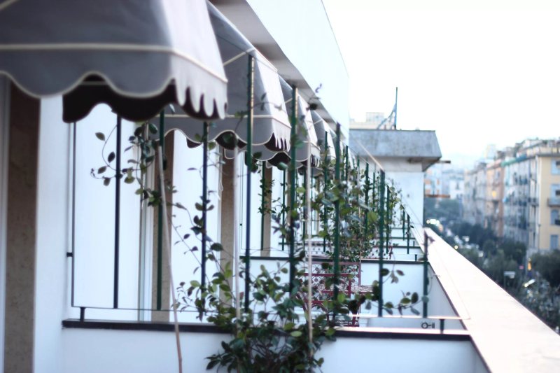 Stelle Hotel