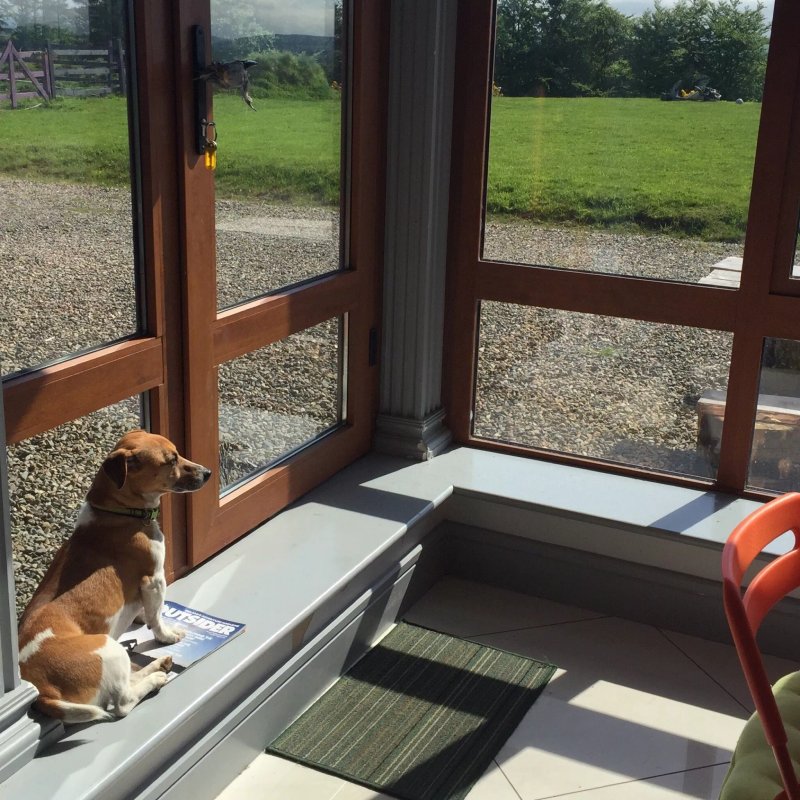 Lus Mór B&B