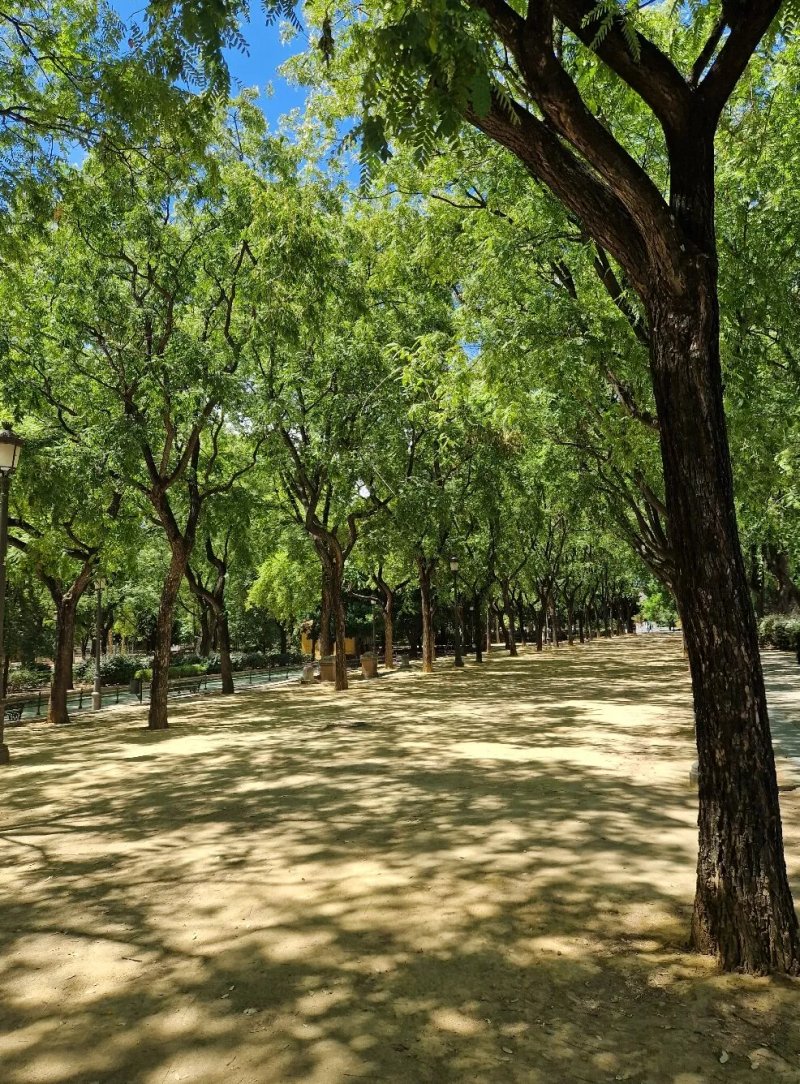 Jardines del Prado de San Sebastian