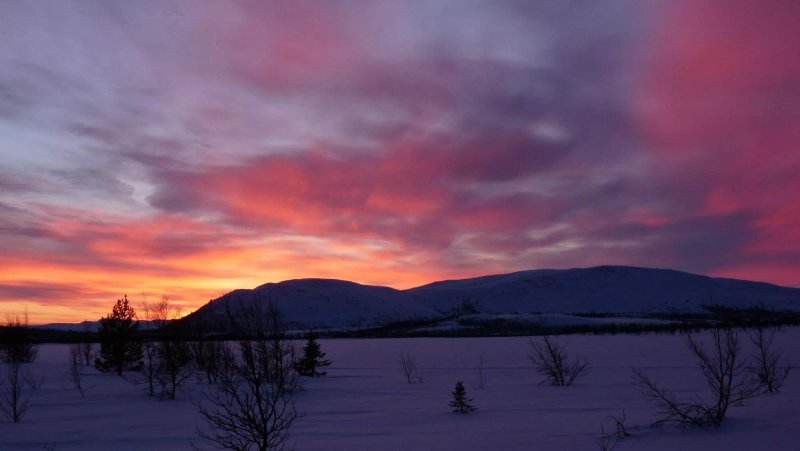 Venabu Fjellhotell og Hytter