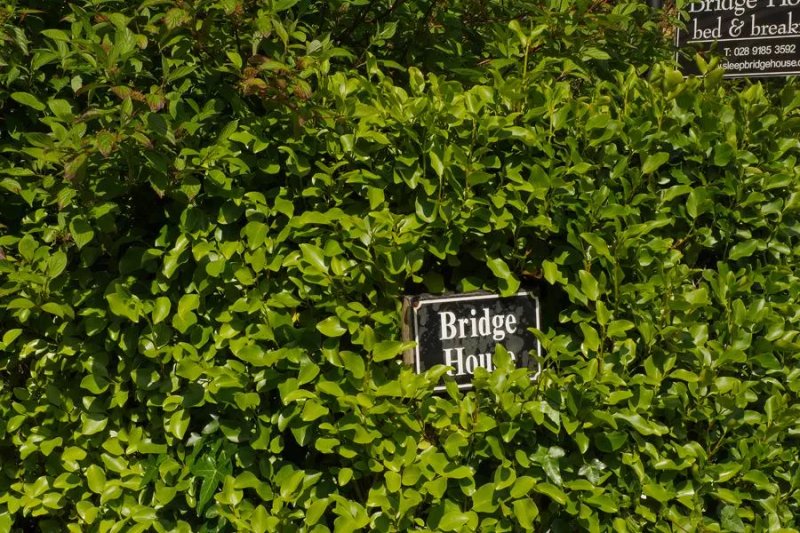 Bridge House Bed and Breakfast