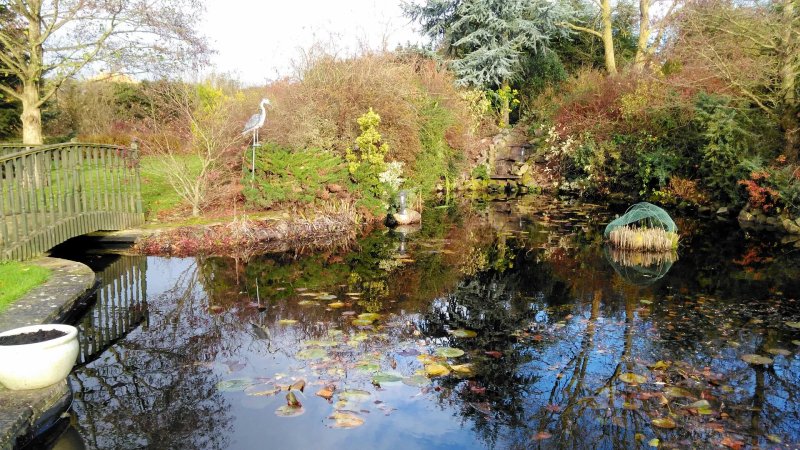 The Beeches Bed and Breakfast