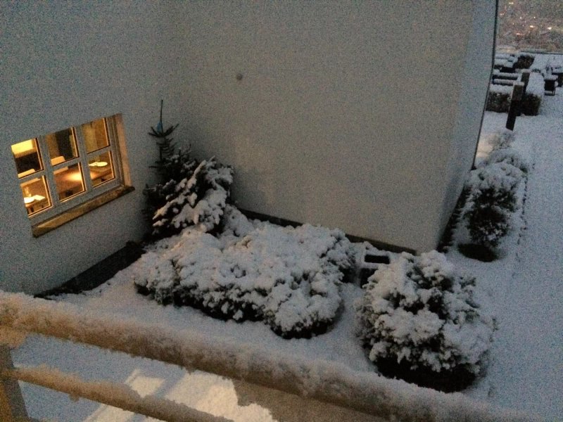 Gasthof Frohberg