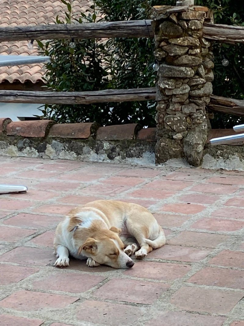 Casa Rural Arbillas